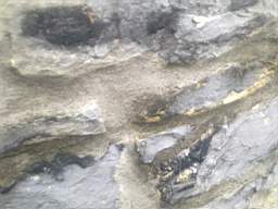 Carrowmore  10095.jpg